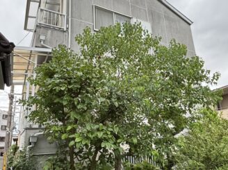 大阪市東淀川区 外壁カバー工法施工前の住宅外観